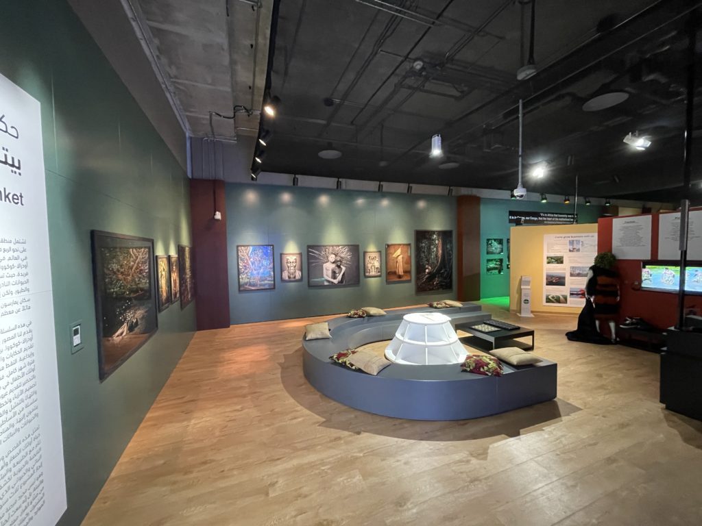 Pavillon de la République du Congo